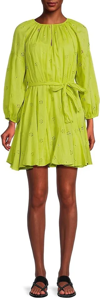 Gracie Eyelet Embroidered Mini Dress