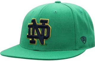 Men's Green Notre Dame Fighting Irish Team Color Fitted Hat