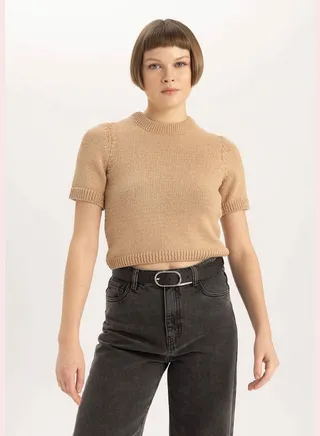 Woman Crew Neck Short Sleeve Tricot Pullover