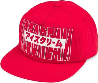 Icey Snapback Hat