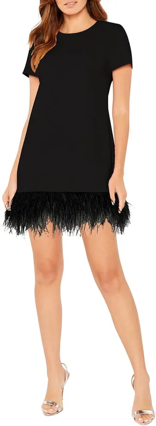 Marullo Mini Feather-Trim Dress