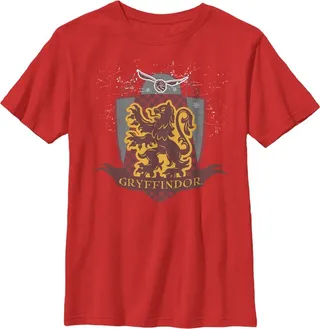 Boy's Harry Potter Gryffindor Quidditch Coat of Arms T-Shirt - Red - X Small