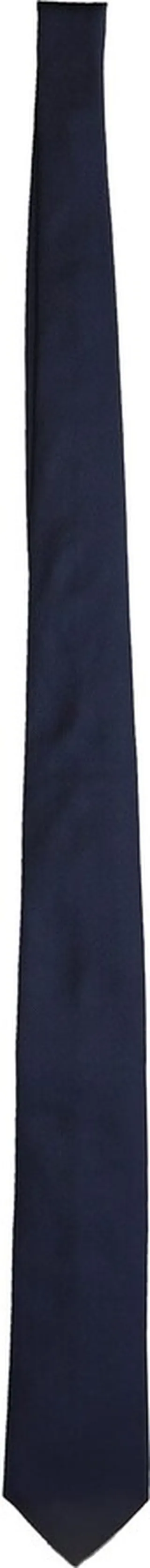 Tie In Blue Silk