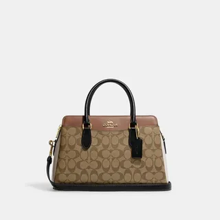 Darcie Carryall In Colorblock Signature Canvas