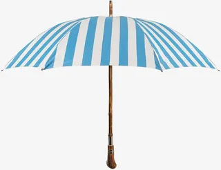 Umbrella 'pic Nic' Umbrella