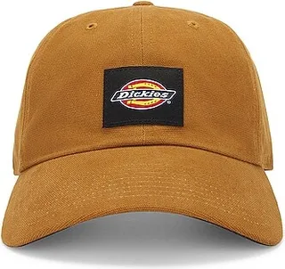 Dickies Washed Canvas Cap in Brown