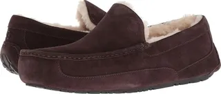 UGG Ascot (Espresso) Men's Slippers