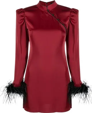 Limousine feather-trimmed dress