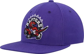 Men's Mitchell & Ness Purple Toronto Raptors Hardwood Classics Team Ground 2.0 Snapback Hat