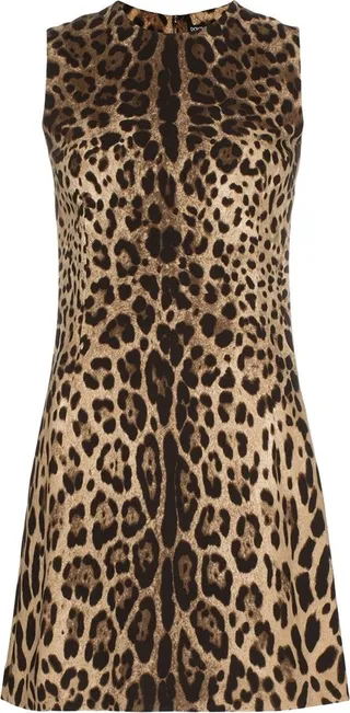 Leopard-Print Mini Dress
