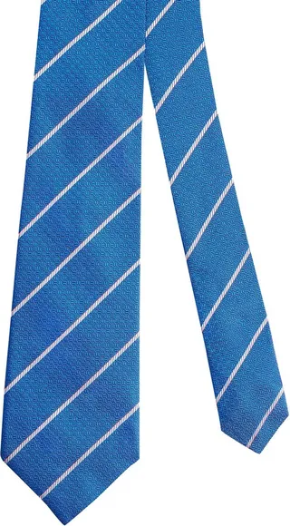 Ties & Bow Ties Blue