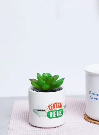 Friends Central Perk Plant Pot Faux 6.5Cm