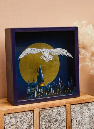 Hedwig Frame Money Box