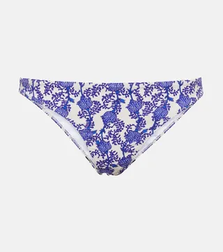 Saly bikini bottoms