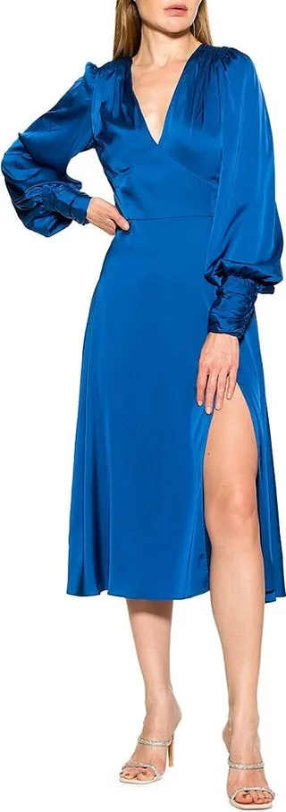 Elysa Bishop Sleeve Fit & Flare Midi Dress