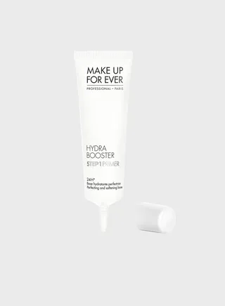 Step 1 Primer - Hydra Booster