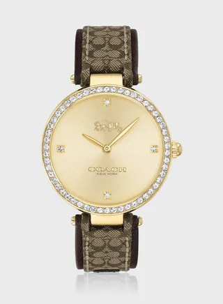 Park Analog Watch