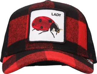 Plaidy Bug hat