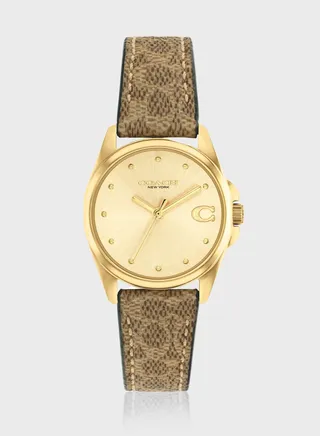 Greyson Mesh Strap Analog Watch