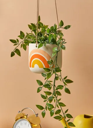 Rainbow Hanging Planter