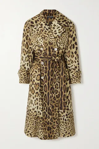 Dolce & Gabbana - Diva Padded Leopard-print Nylon Trench Coat - Brown