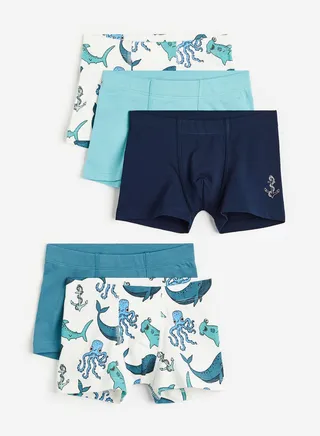 Kids 5 Pack Assorted Boxers