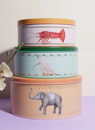 Yvonne Ellen Set Of 3 Cake Tins