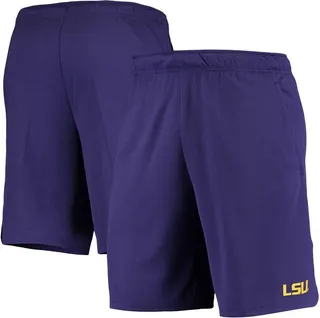 Men's Nike Purple Lsu Tigers Hype Performance Shorts