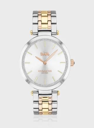 Stainless Steel Park Analog Watch