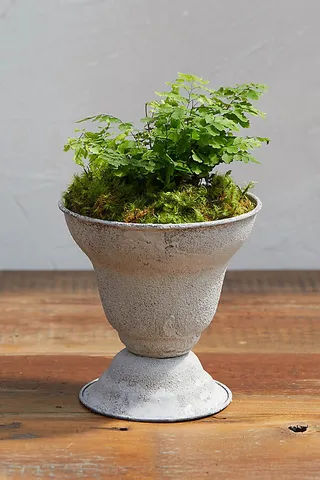 Parlor Urn Planter Grey