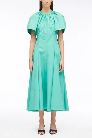 Ladybug Poplin Midi Dress in jade