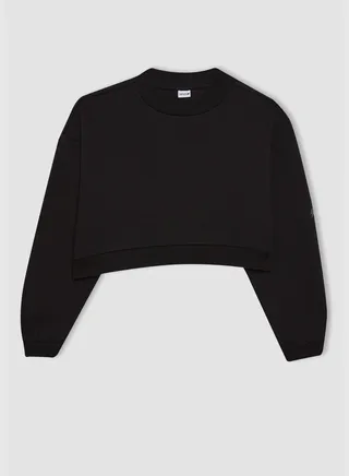 Woman Cropped Fit Crew Neck Long Sleeve Knitted Sweatshirt