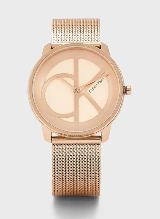Iconic Mesh Analog Watch