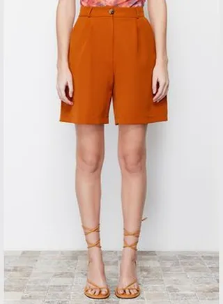 Brown Regular Fit Shorts & Bermuda