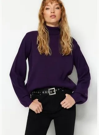 Purple Basic Turtleneck Knitwear Sweater