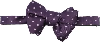 Polka-Dot Silk Bow Tie