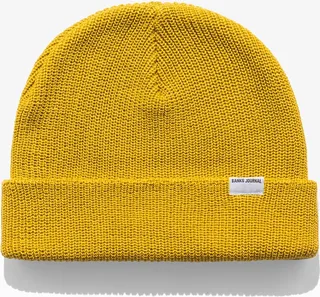 Primary Beanie