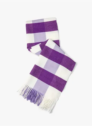 Soft Touch Tasseled Multicolor Scarf