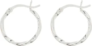 Twisted Hoop Earrings