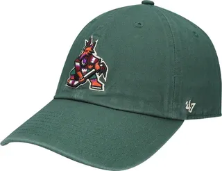 Men's '47 Brand Green Arizona Coyotes Clean Up Adjustable Hat