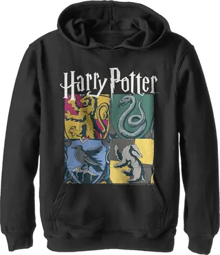 Boy's Harry Potter Hogwarts Houses Vintage Collage Pull Over Hoodie - Black - Large