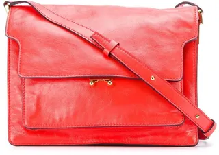Trunk shoulder bag