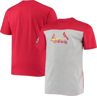 Men's Fanatics Branded Red and Heathered Gray St. Louis Cardinals Big and Tall Colorblock T-shirt