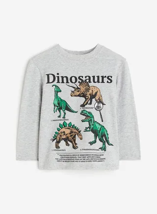 Kids Dinosaurs T-Shirt
