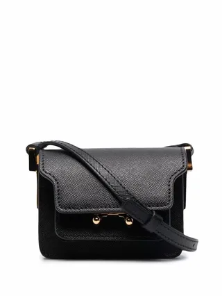 mini Trunk crossbody bag