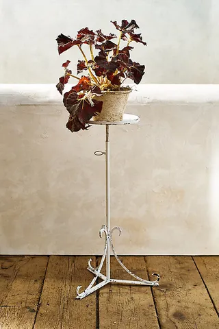 Turn Key Adjustable Iron Plant Stand Assorted
