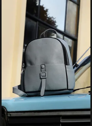 Solid Zip Lock Regular Faux Leather Backpack For Women