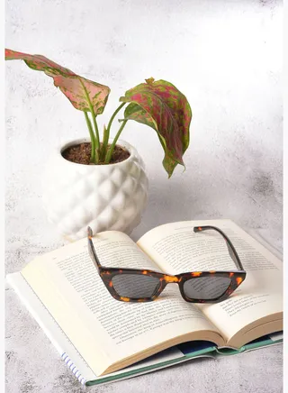 Women Black Lens Black Butterfly Sunglasses