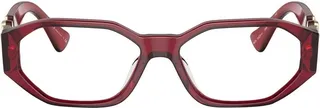 Medusa plaque optical glasses