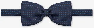 Silk Bow tie 'Pois'